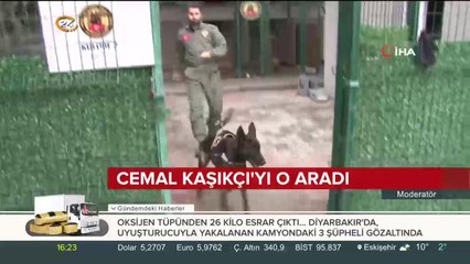 Emniyetin göz bebeği Melon