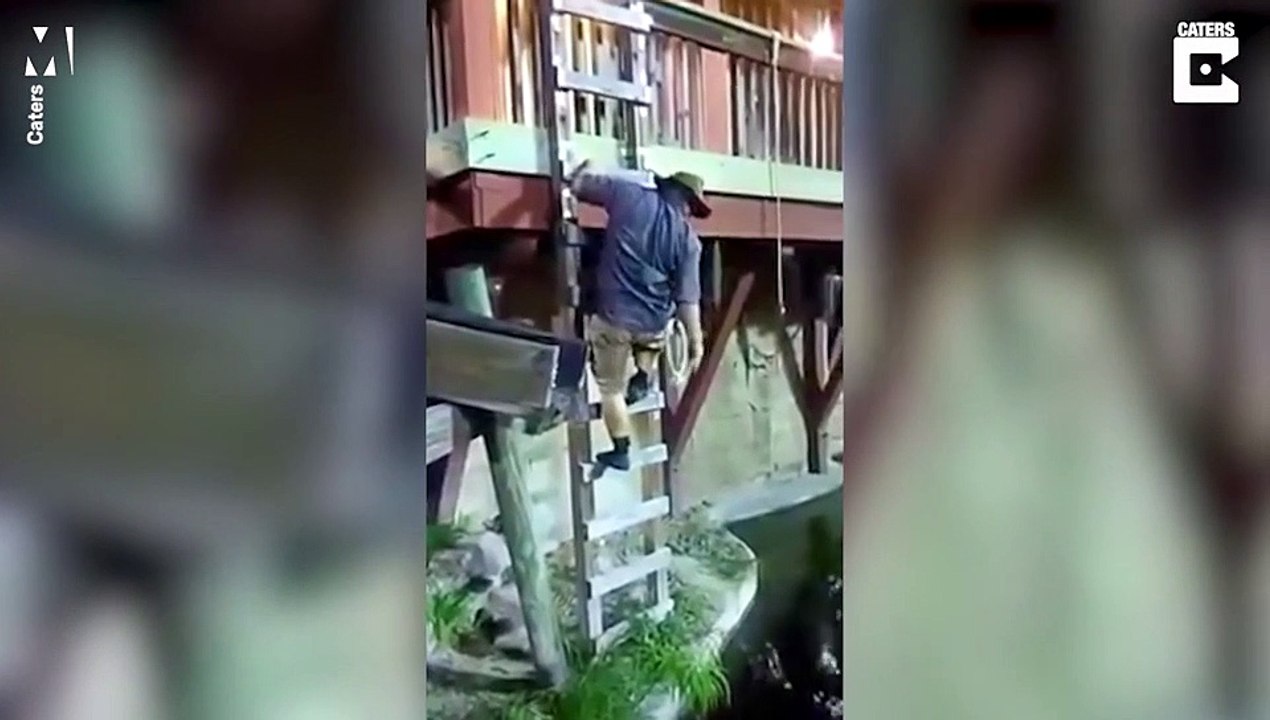 Man falls into pool full of alligators after rope swing fail