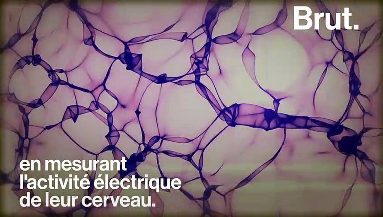 Vous avez eu un coup de foudre ? La science a peut-être une explication