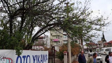 Erik ağacı meyve verdi - MUĞLA