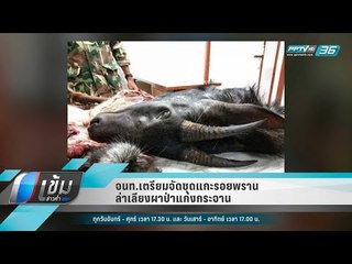 จนท.เตรียมจัดชุดแกะรอยพรานล่าเลียงผาป่าแก่งกระจาน - เข้มข่าวค่ำ
