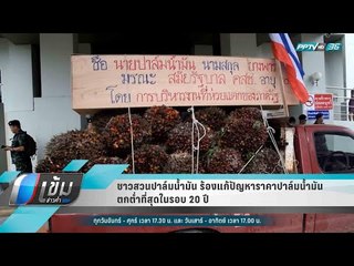 ชาวสวนปาล์มน้ำมัน ร้องแก้ปัญหาราคาปาล์มน้ำมันตกต่ำที่สุดในรอบ 20 ปี - เข้มข่าวค่ำ