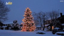 Giant Christmas Tree Lights Up Tiny Town With Over a Thousand Lights