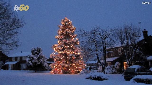 Giant Christmas Tree Lights Up Tiny Town With Over a Thousand Lights
