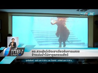 ผอ.สวนสัตว์เปิดเขาเขียวยันการแสดงช้างเล่นน้ำไม่ทารุณกรรมสัตว์ - เที่ยงทันข่าว