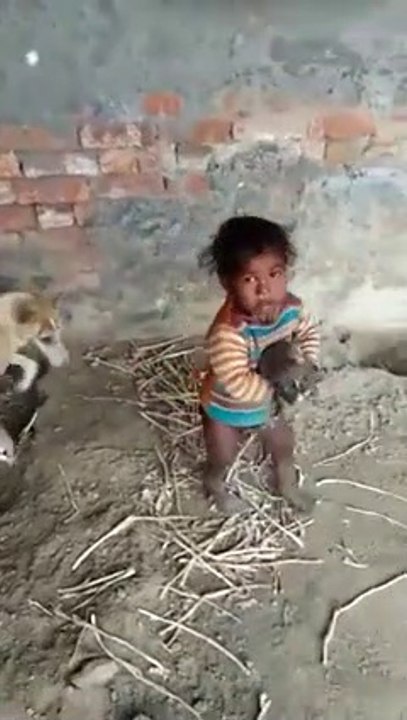 يستحق المشاهدة ، طفل صغير يتنازع مع كلبة ، شاهد بنفسك و احكم