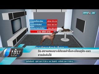 วัด-สถานสงเคราะห์กังวลค่าขึ้นทะเบียนสุนัข-แมว หากบังคับใช้ - เข้มข่าวค่ำ