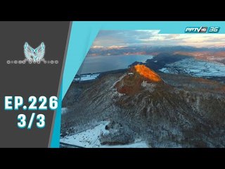 Bird's Eye View - Tanbo Art งานศิลป์ มหัศจรรย์จากรวงข้าว.....แห่งเมืองอาโอโมริ (3/3)