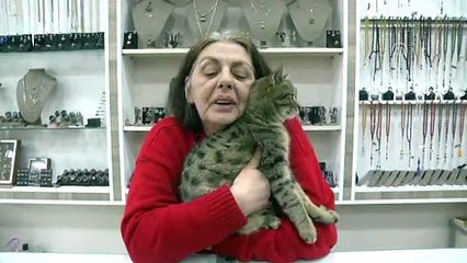 Tavşanın okul duvarına asılarak derisinin yüzülmesine tepki - KASTAMONU