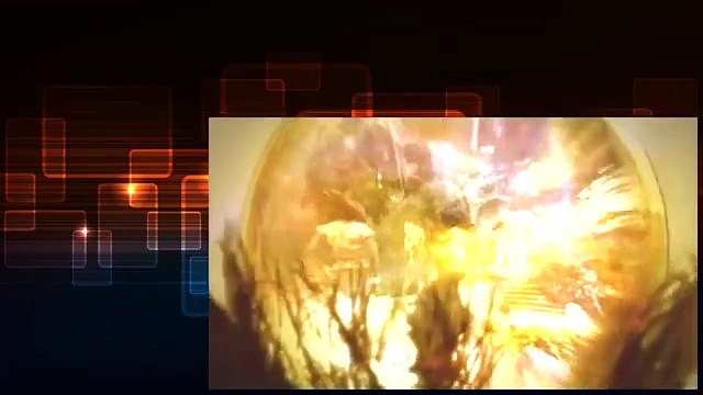 La Belle Au Bois Dormant La Malediction 2014 FRENCH