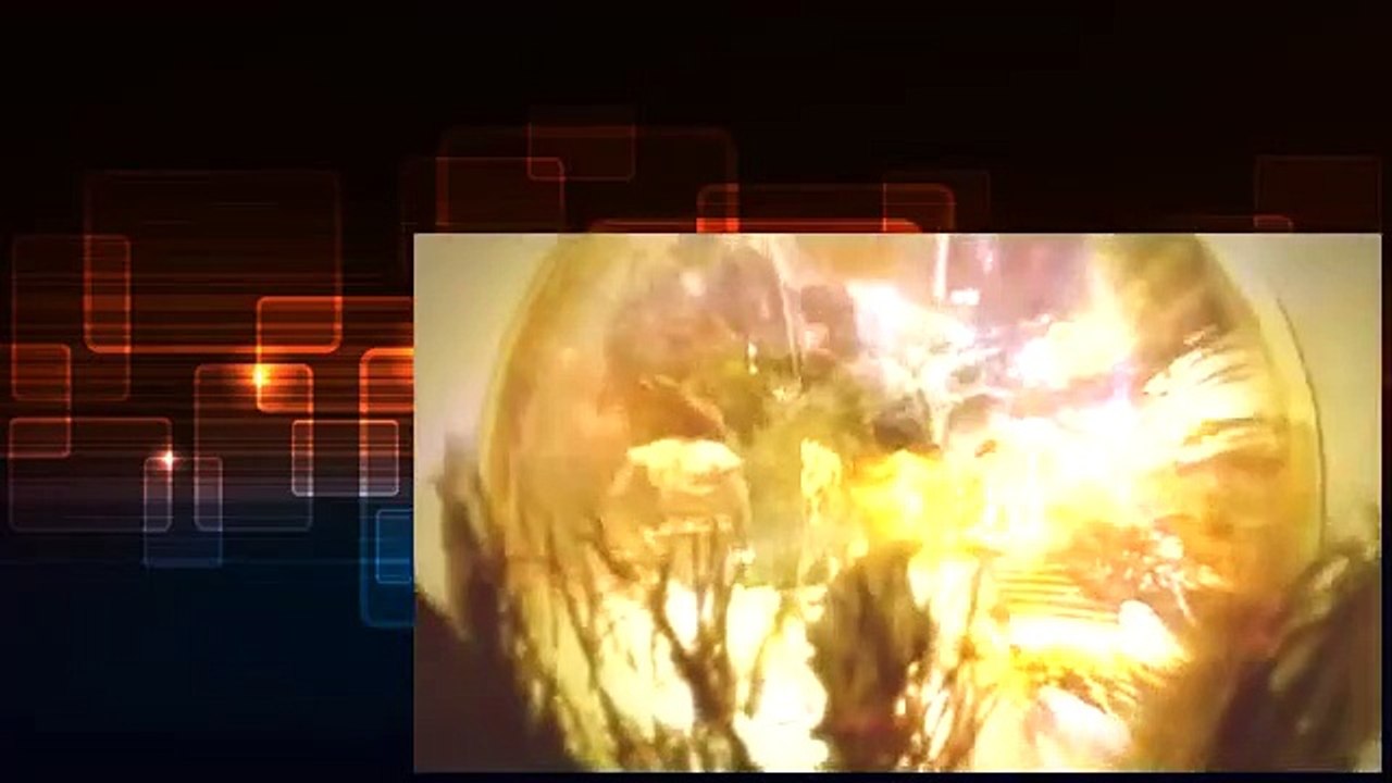 La Belle Au Bois Dormant La Malediction 2014 FRENCH