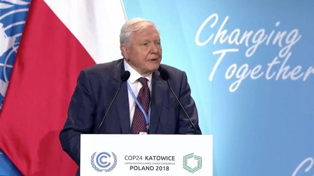 Sir David Attenborough: Climate Change Could Cause Collapse Of Civilization