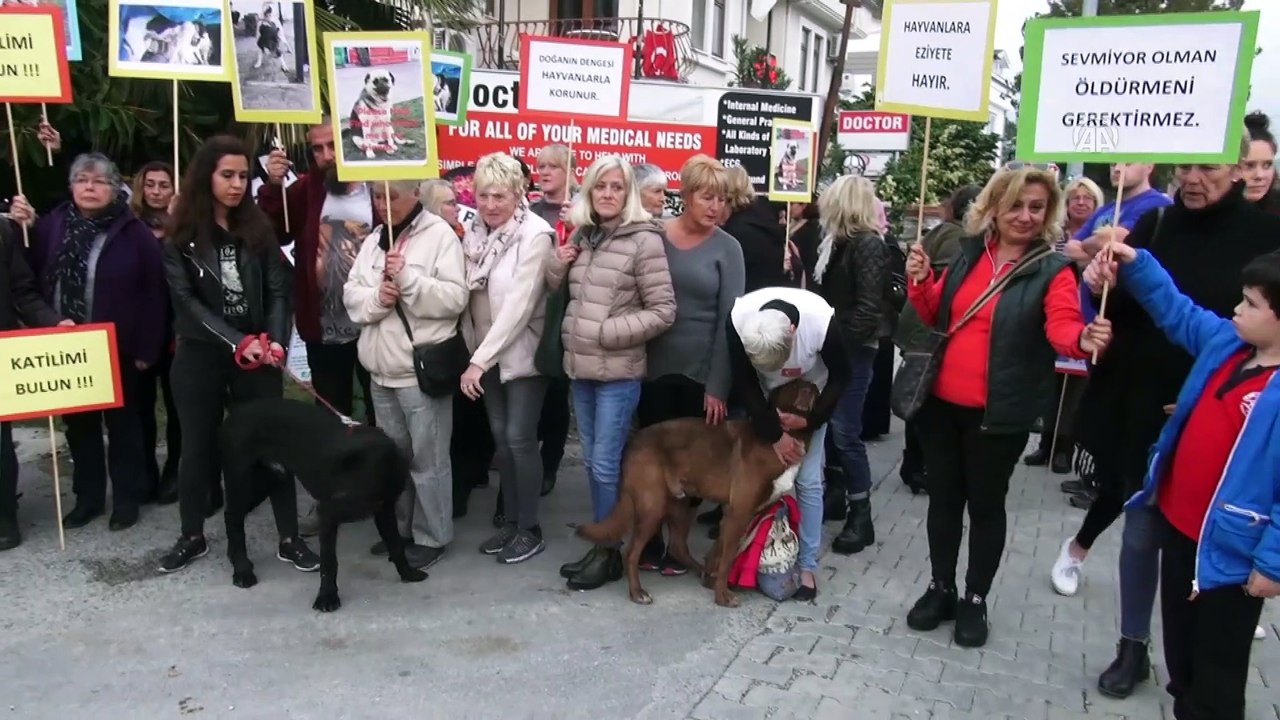 Fethiye'de köpek zehirlenmelerine tepki - MUĞLA