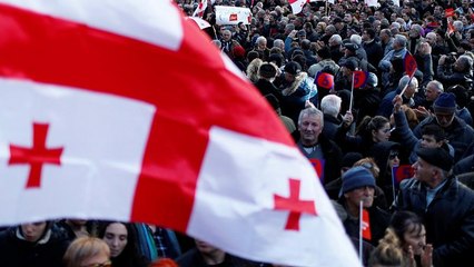 Дело о вмешательстве украинцев в грузинские выборы