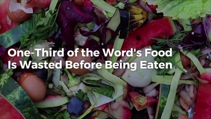 One-Third of the Word's Food Is Wasted Before Being Eaten