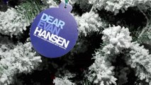 'Dear Evan Hansen' Will Be A New Movie: Watch