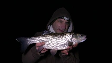 Christmas Chub Fishing - Warwickshire Avon River Campaign 2017 - 23/12/17 (Video 56)