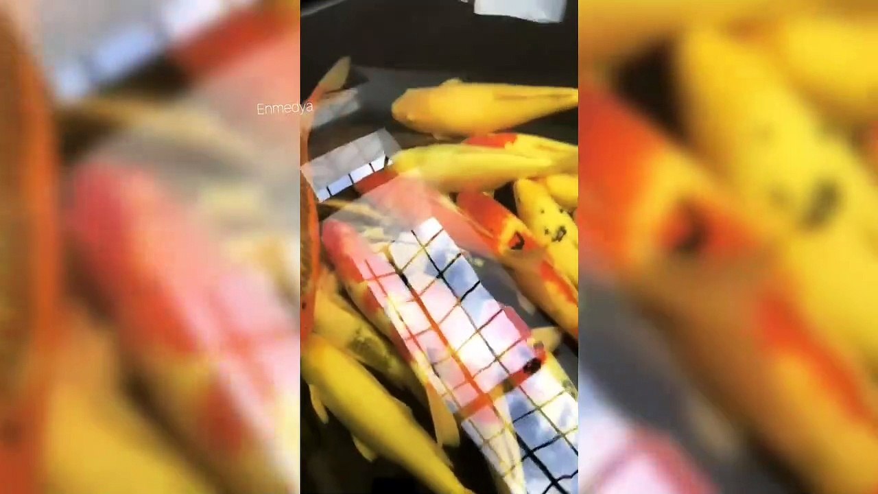 Şeyma Subaşı "Çok Korktum! Titriyorum Şuan!" Miami'de Melisa İle Çok Eğlendi! | Şeyma Subaşı'nın İnstagram Hikayesi #Enmedya