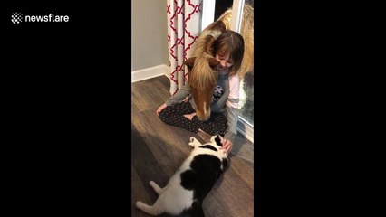Girl, mini horse and cat share beautiful friendship