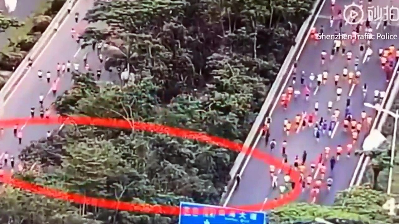 Quand 258 coureurs trichent lors du semi-marathon de Shenzhen !