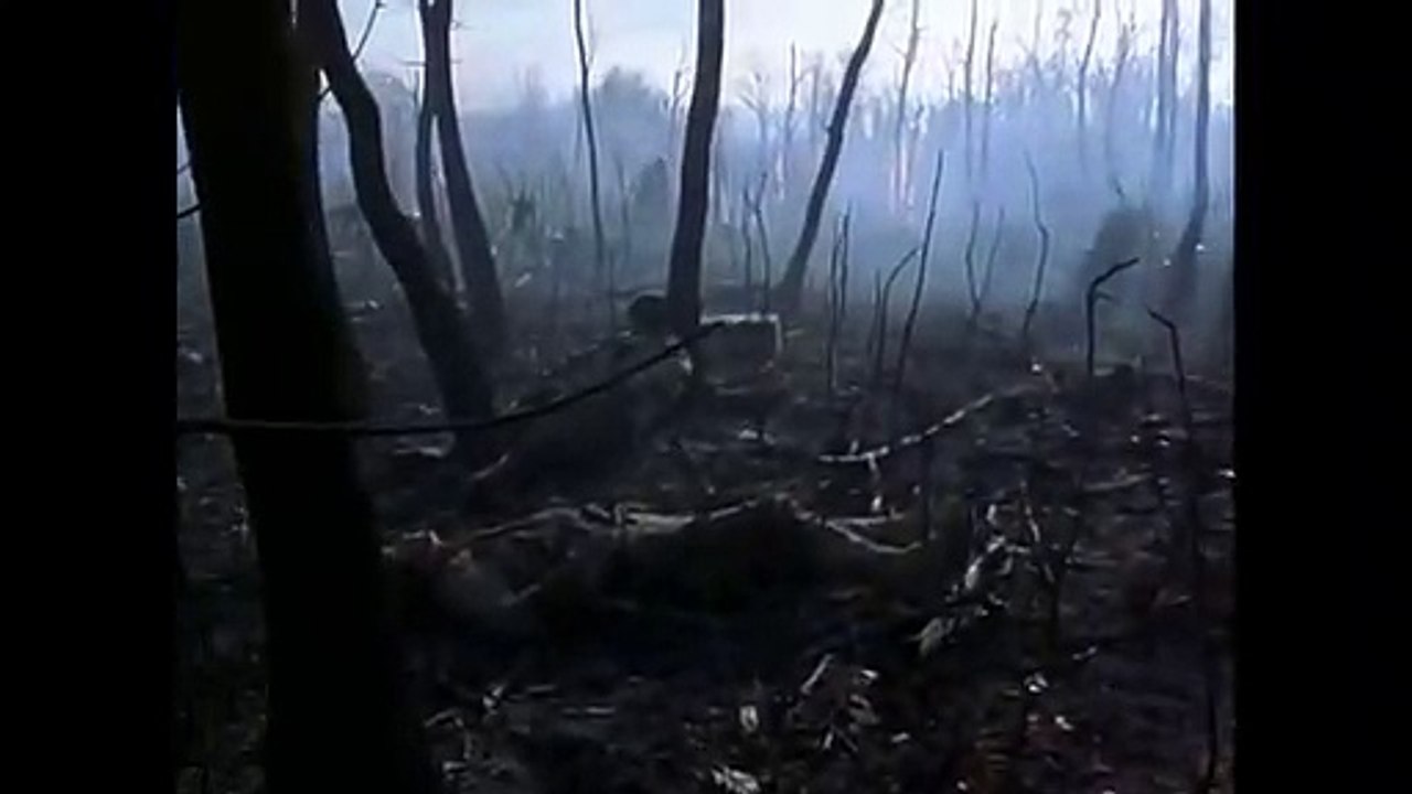Cuando callan las trompetas Pelicula Completa en español Latino