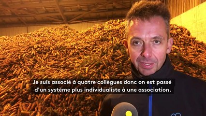 Loos-en-Gohelle : l'agriculture biologique