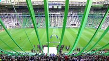 Palmeiras x Vitória (Campeonato Brasileiro 2018 38ª rodada) PRÉ-JOGO