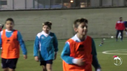 #DelfinoAcademy: conosciamo i #Pulcini2008 di mister Sacalus