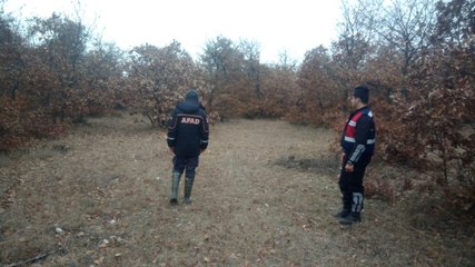 Video herunterladen: Domuzdan Korkunca Ormanlık Alanda Geceyi Ağaç Üzerinde Geçirdi