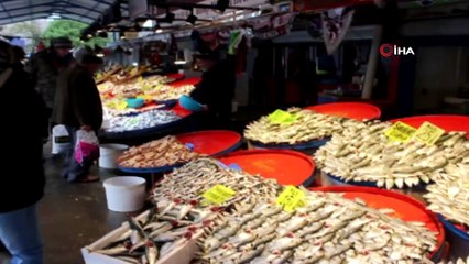 - Palamut ve çinekop rekor kırdı