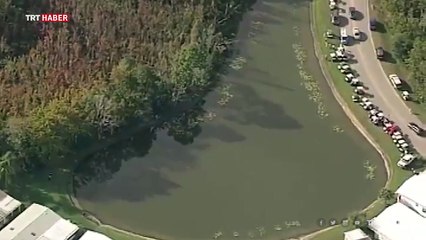 ABD'de bahçede gezen yaşlı adamı timsah ısırdı