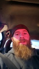 Want a Bearded Dragon?