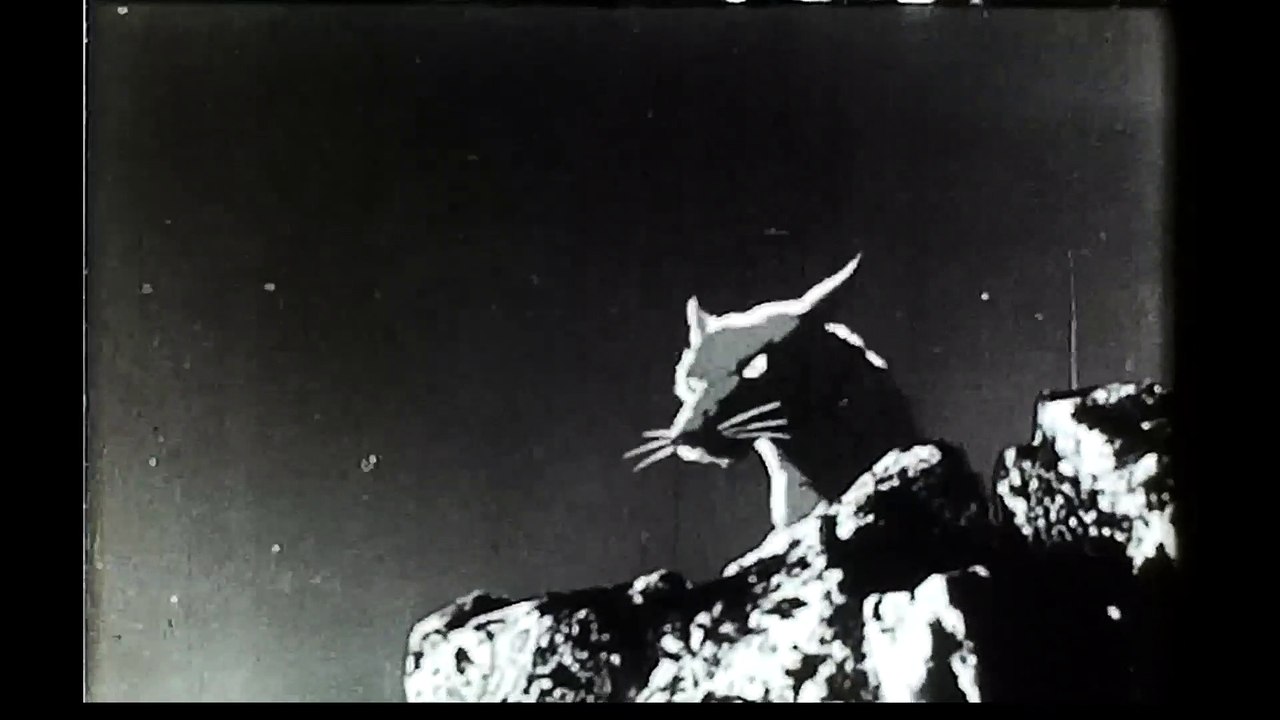 黒メガネの男