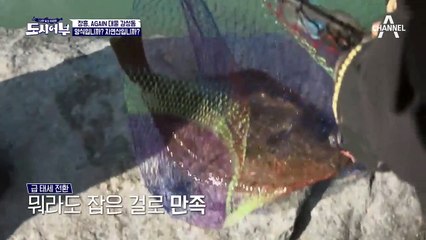 이경규 또 히트! 美美친.. 또 광어! (어디 광어 양식장에 구멍났나..?)
