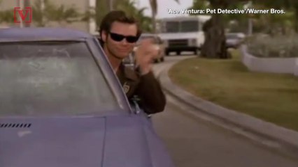 Guy Charged With DUI After Allegedly Driving ‘Like Ace Ventura’