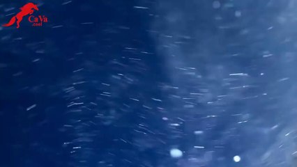 Ювелирные украшения бренда cava.cool