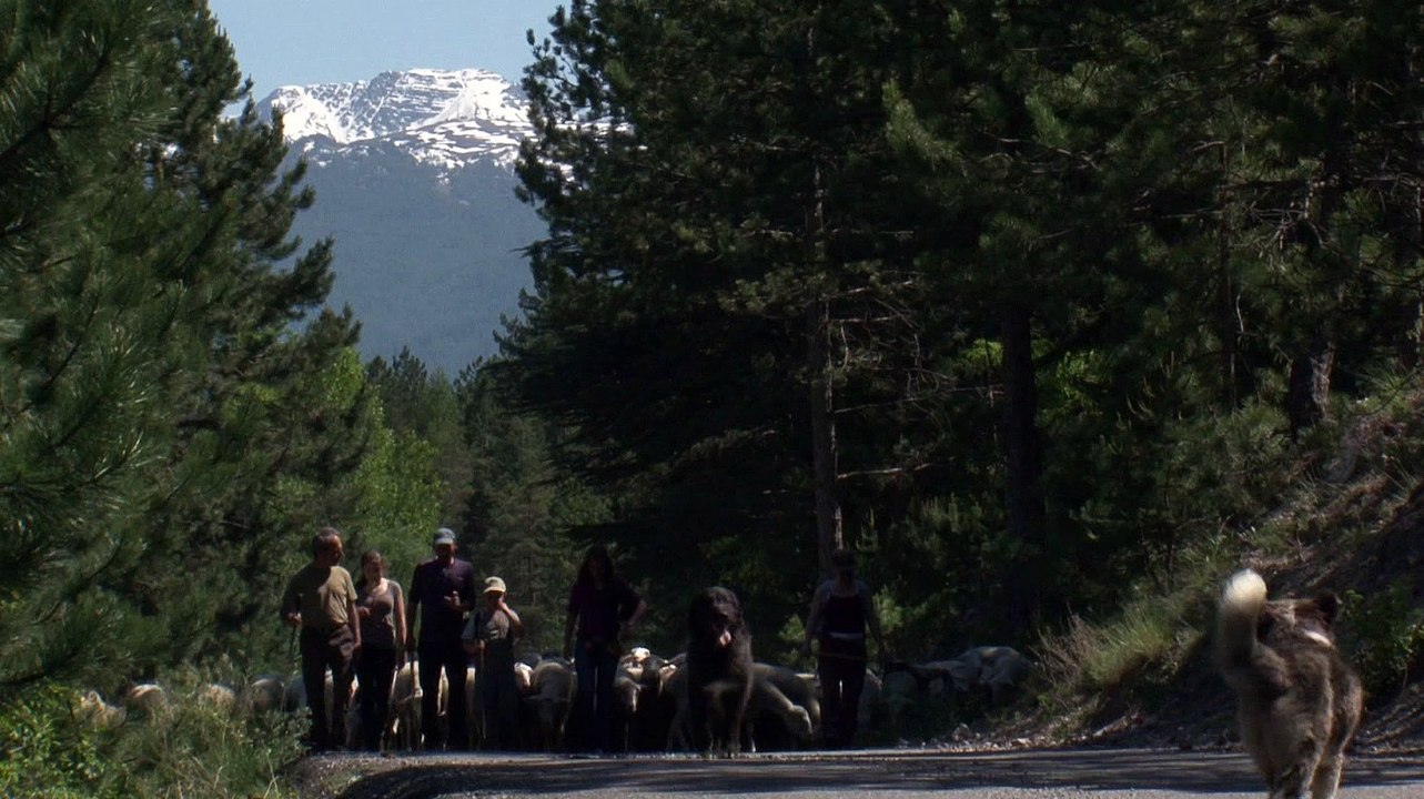 16H37 au pont des traverses (Bonus Alpages sentinelles)