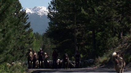16H37 au pont des traverses (Bonus Alpages sentinelles)