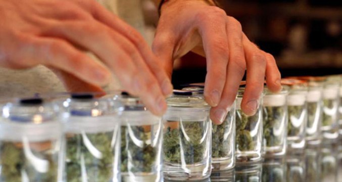 Lüksemburg Esrarı Tamamen Serbest Bırakan İlk Avrupa Ülkesi Olacak