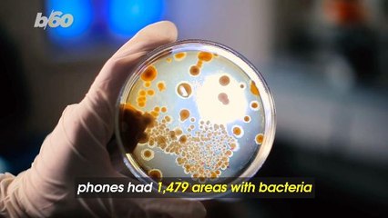 Your Phone is Gross! It Has More Bacteria Than a Toilet Seat
