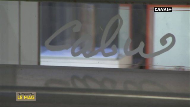 La duduchotèque : un espace dédié au dessinateur Cabu - L'info du vrai du 03/12 - CANAL+