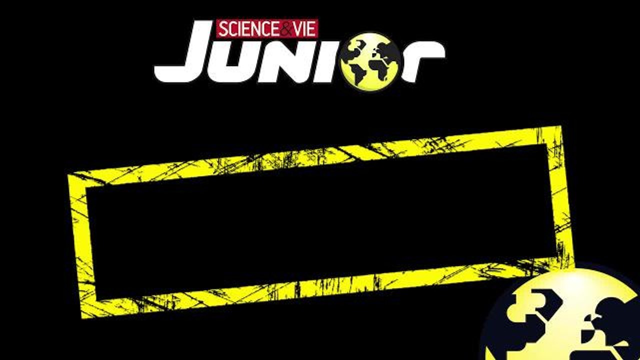 Exceptionnel : l'éclosion de bébés tortues caouannes...sur une plage près de Montpellier!