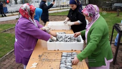Engelli vatandaşlar hamsi şenliğinde buluştu - TRABZON