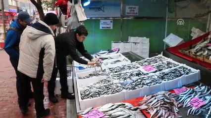 Karadeniz'deki bolluk balıkçıları memnun etti - SAMSUN