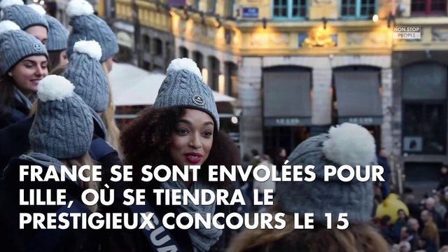 Miss France 2019 : les candidates du Nord-Pas-de-Calais avantagées ?