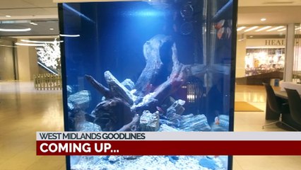 GOODLINES: 5th December 2018