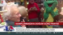 Kaplumbağa için doğum günü partisi