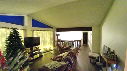 Panicked Pets During Anchorage Earthquake