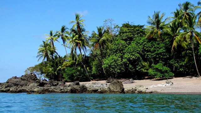 Corcovado Tour, The best of Costa Rica with Osa Great Adventure