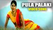Pula Palaki Telugu Song || Sivaji & Sindhu Tulani || Nee Navve Chalu Movie
